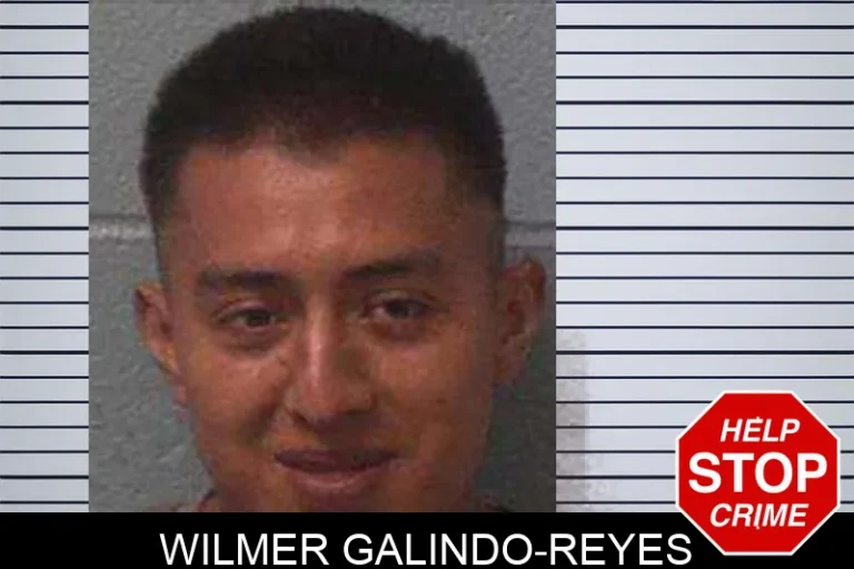 Wilmer Galindo-Reyes
