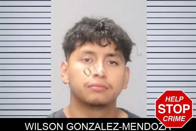 Wilson Gonzalez-Mendoza