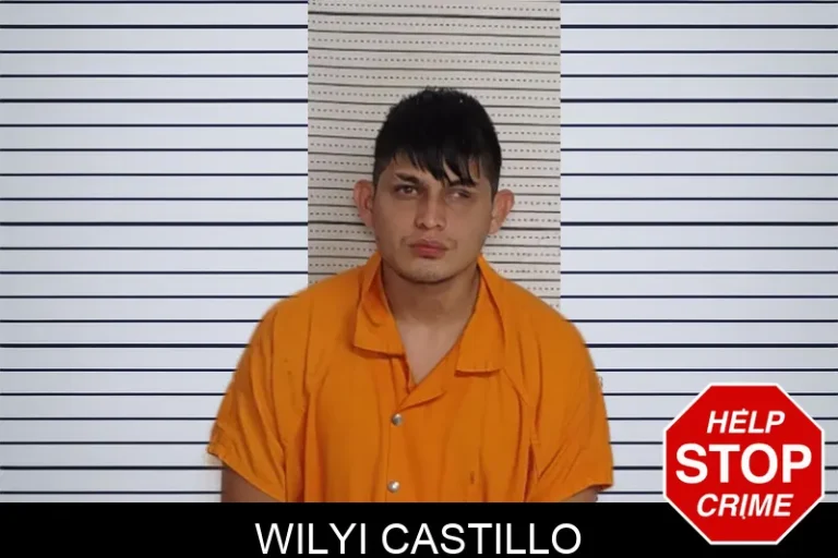 Wilyi Castillo
