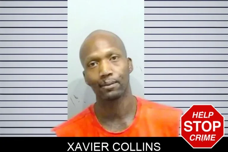 Xavier Collins