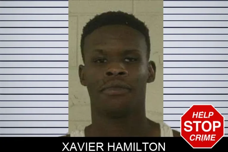 Xavier Hamilton