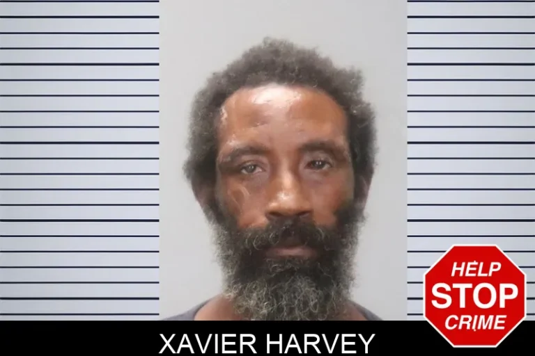 Xavier Harvey