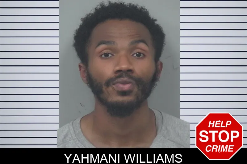 Yahmani Williams Mugshots
