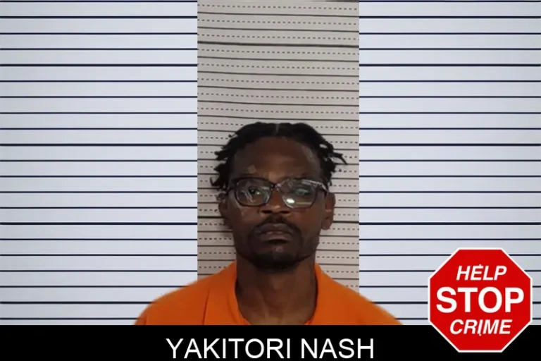 Yakitori Nash