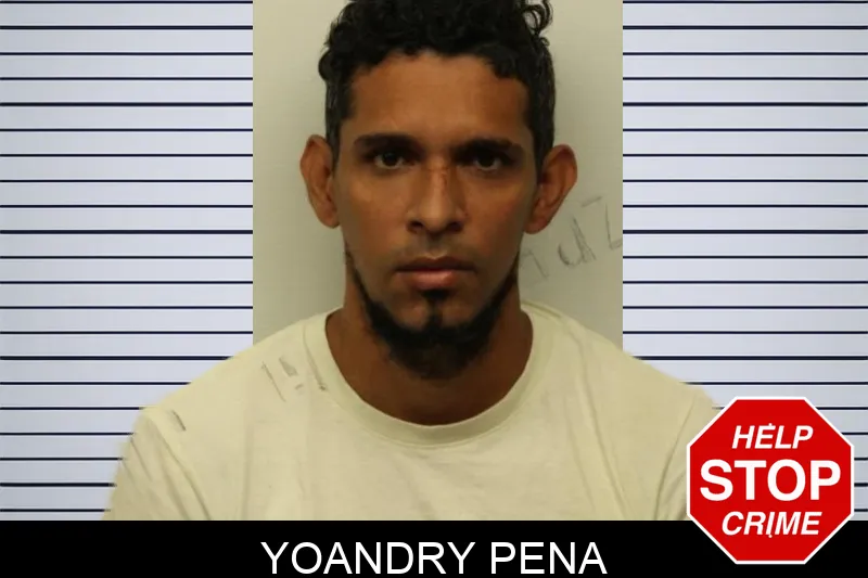 Yoandry Pena mugshot