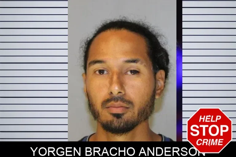 Yorgen Bracho Anderson