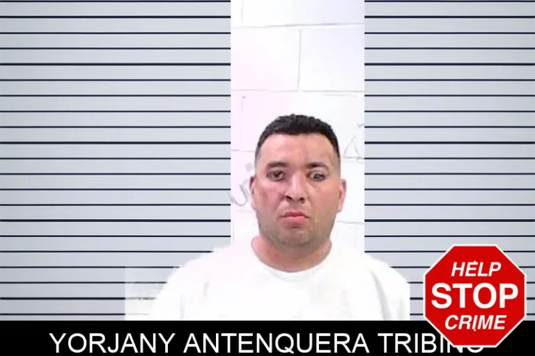 Yorjany Antenquera Tribino mugshot – Fulton County , Georgia Yorjany Antenquera Tribino