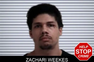 Zachari Weekes mugshot