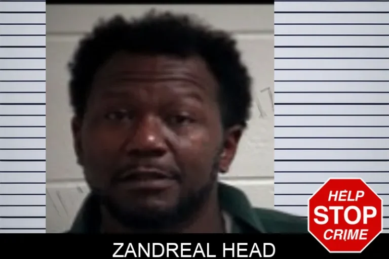 Zandreal Head mugshot – Henry County , Georgia Zandreal Head