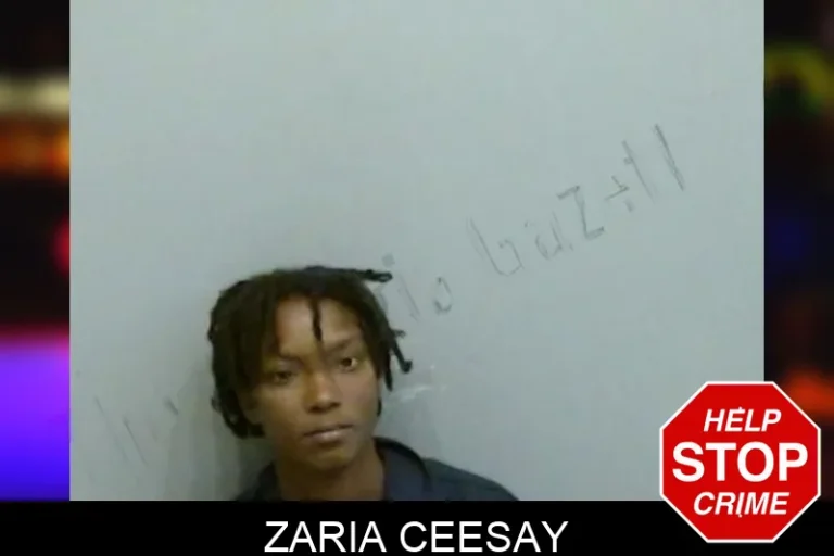 Zaria Ceesay mugshot – Fulton County , Georgia Zaria Ceesay