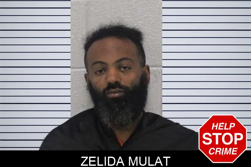 Zelida Mulat Mugshots