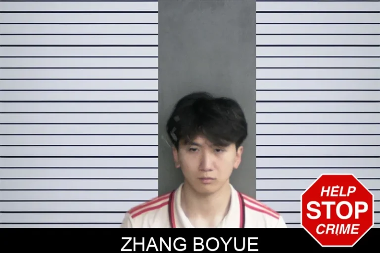 Zhang Boyue