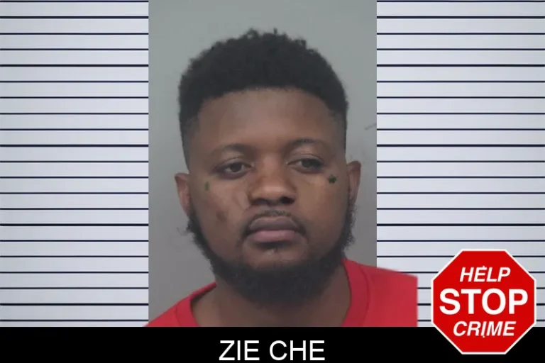 Zie Che mugshot – Gwinnett County , Georgia Zie Che