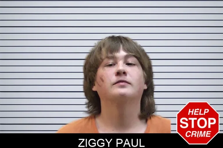 Ziggy Paul