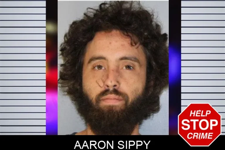 Aaron Sippy mugshot – Hall County , Georgia Aaron Sippy