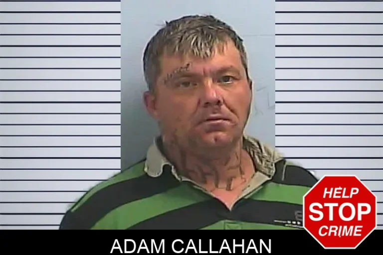 Adam Callahan