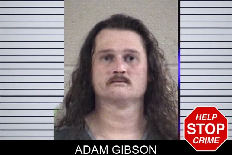 Adam Gibson mugshot – Whitfield County , Georgia Adam Gibson