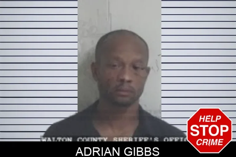 Adrian Gibbs