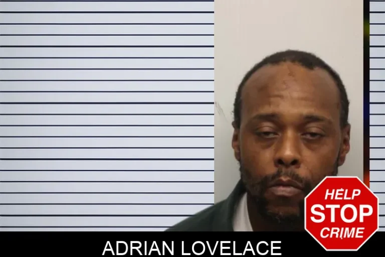 Adrian Lovelace