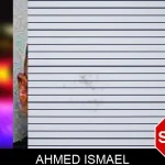 Ahmed Ismael Mugshots