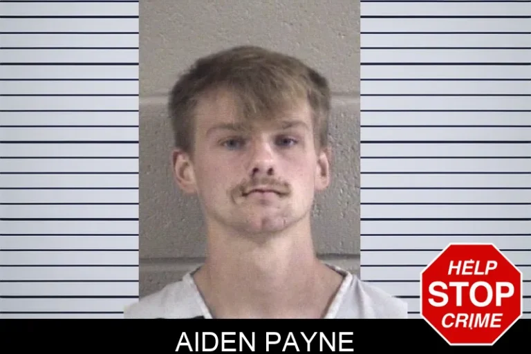 Aiden Payne mugshot – Whitfield County , Georgia Aiden Payne