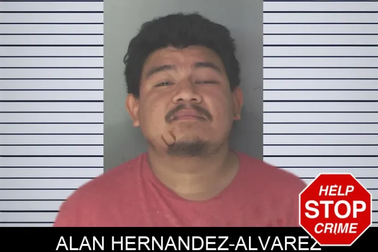 Alan Hernandez-Alvarez