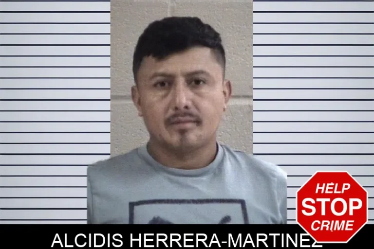 Alcidis Herrera-Martinez