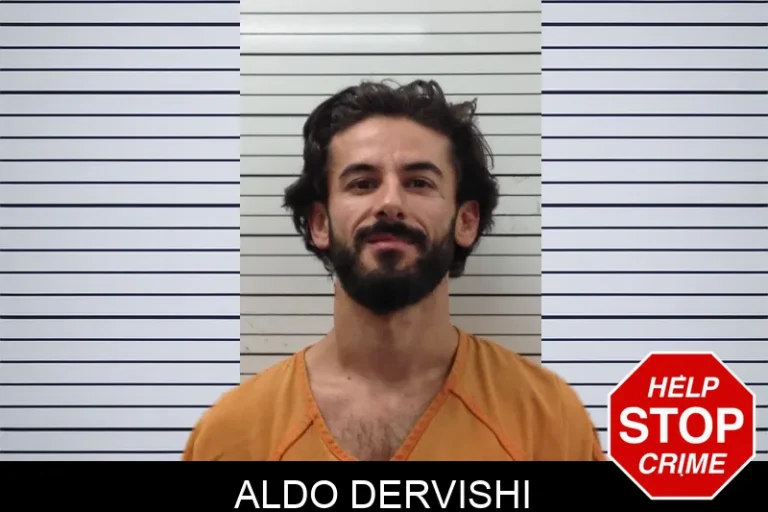 Aldo Dervishi mugshot – Pickens County , Georgia Aldo Dervishi