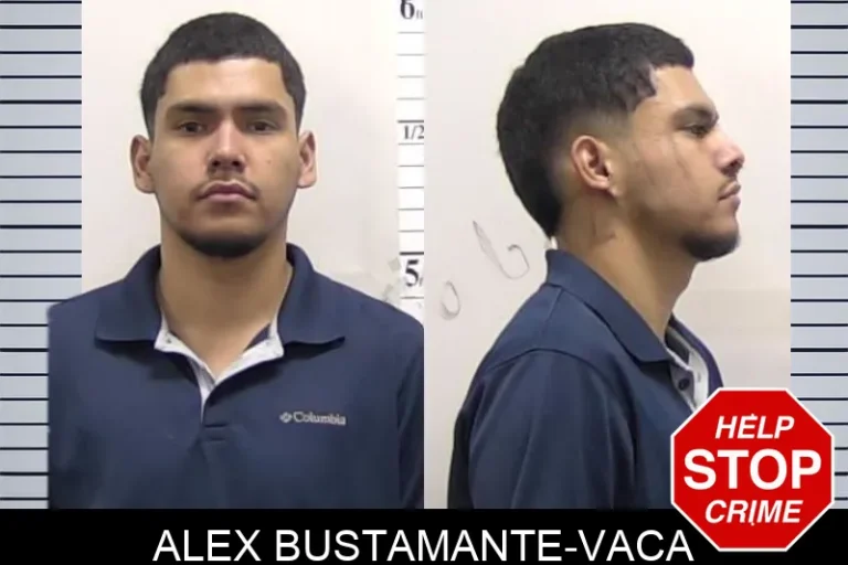 Alex Bustamante-Vaca