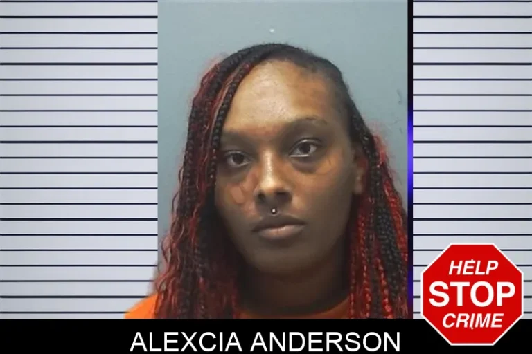 Alexcia Anderson mugshot – Cherokee County , Georgia Alexcia Anderson