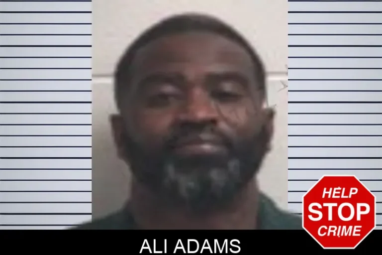Ali Adams