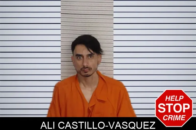 Ali Castillo-Vasquez