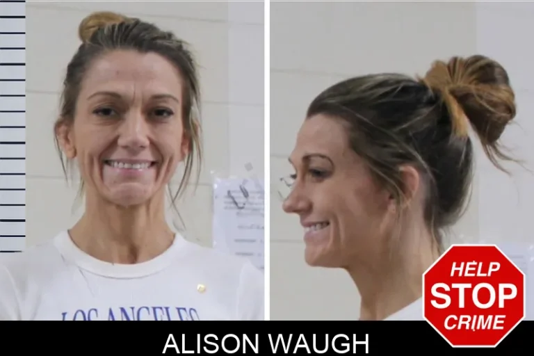 Alison Waugh