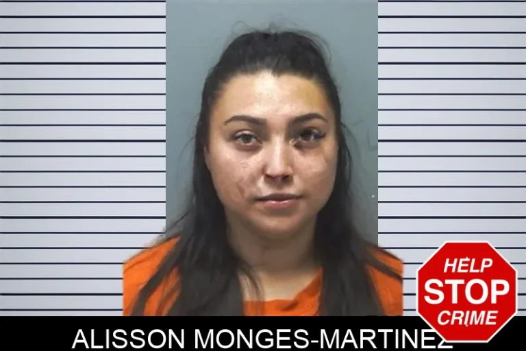 Alisson Monges-Martinez