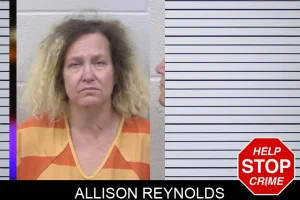 Allison Reynolds mugshot