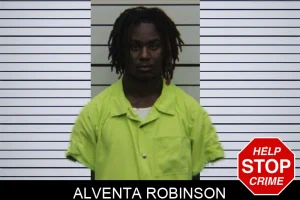 Alventa Robinson mugshot