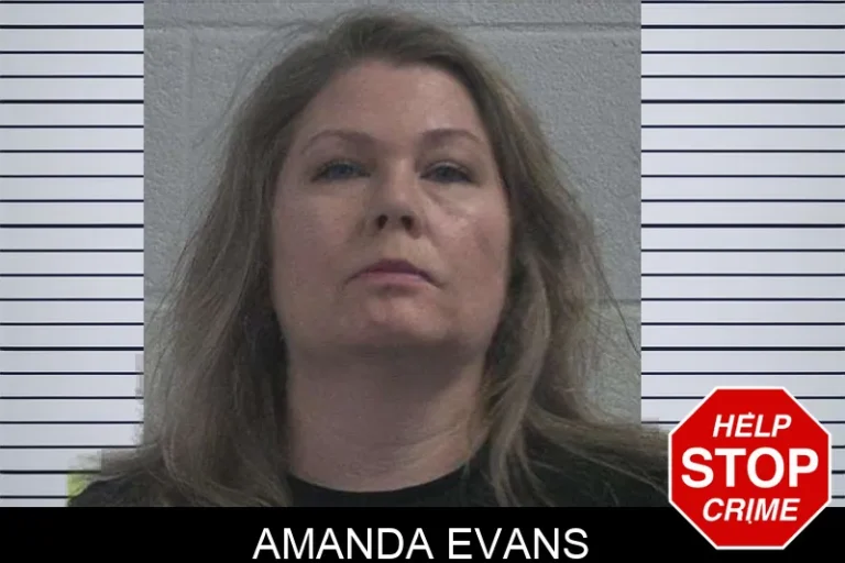 Amanda Evans mugshot – McDuffie County , Georgia Amanda Evans