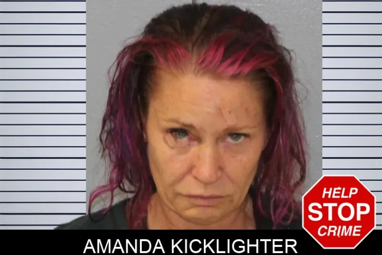 Amanda Kicklighter mugshot – Mcintosh County , Georgia Amanda Kicklighter