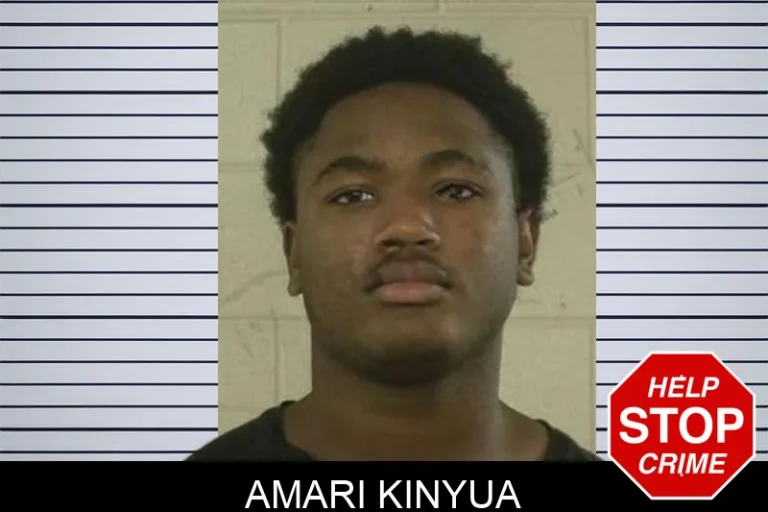 Amari Kinyua mugshot – Liberty County , Georgia Amari Kinyua