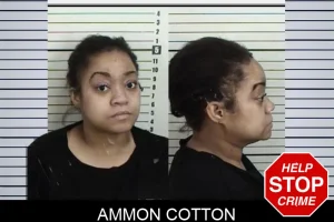 Ammon Cotton mugshot