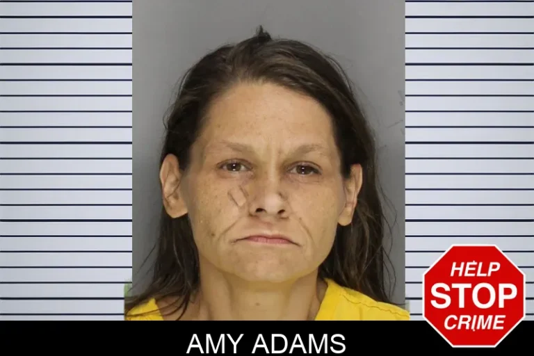 Amy Adams mugshot – Cobb County , Georgia Amy Adams