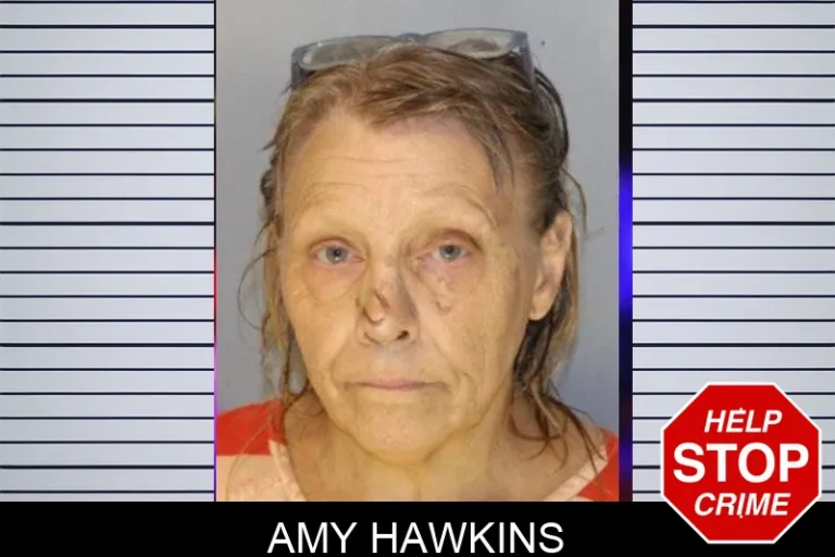 Amy Hawkins