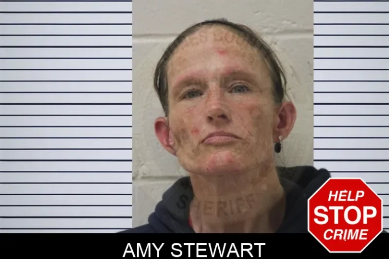 Amy Stewart mugshot – Jones County , Georgia Amy Stewart