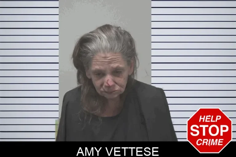 Amy Vettese mugshot – Coweta County , Georgia Amy Vettese