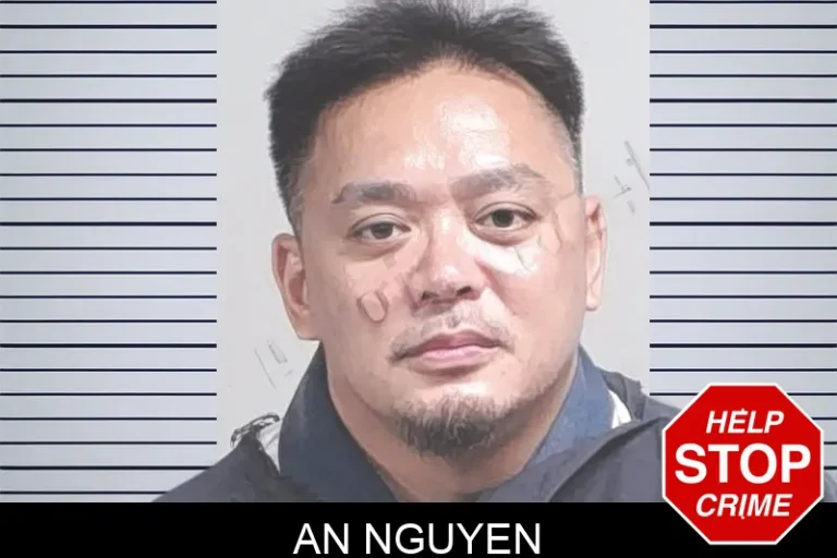 An Nguyen