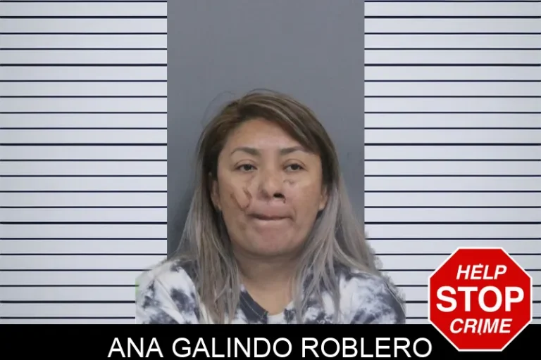 Ana Galindo Roblero mugshot – Catoosa County , Georgia Ana Galindo Roblero
