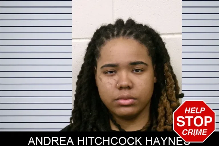 Andrea Hitchcock Haynes