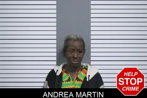Andrea Martin mugshot