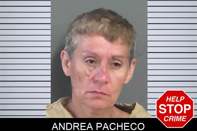 Andrea Pacheco