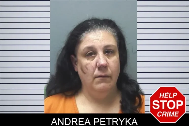 Andrea Petryka mugshot – Cherokee County , Georgia Andrea Petryka